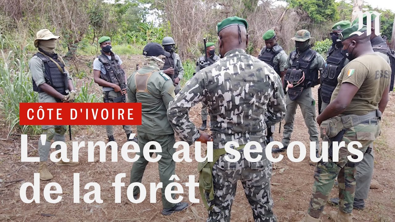 En Côte d'Ivoire, une brigade spéciale au secours de la forêt
