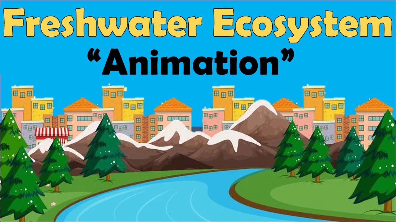 FRESHWATER ECOSYSTEM | Biology Animation