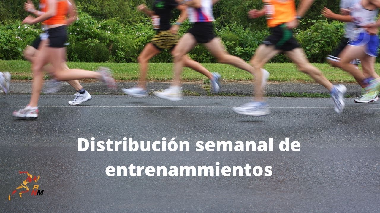 Distribución semanal de entrenamientos