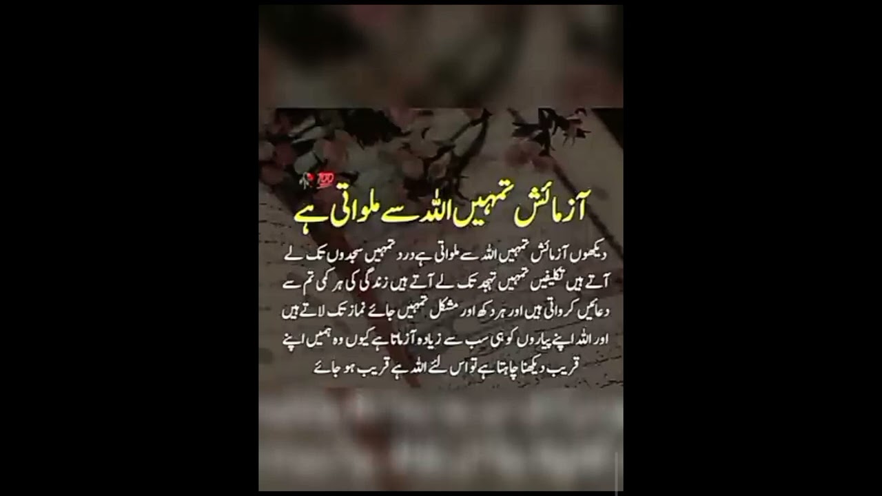 ❤💕💖 Touching Quotes | Golden Words In Urdu | Islamic Quotes By Rahe Haq Quotes✨💞