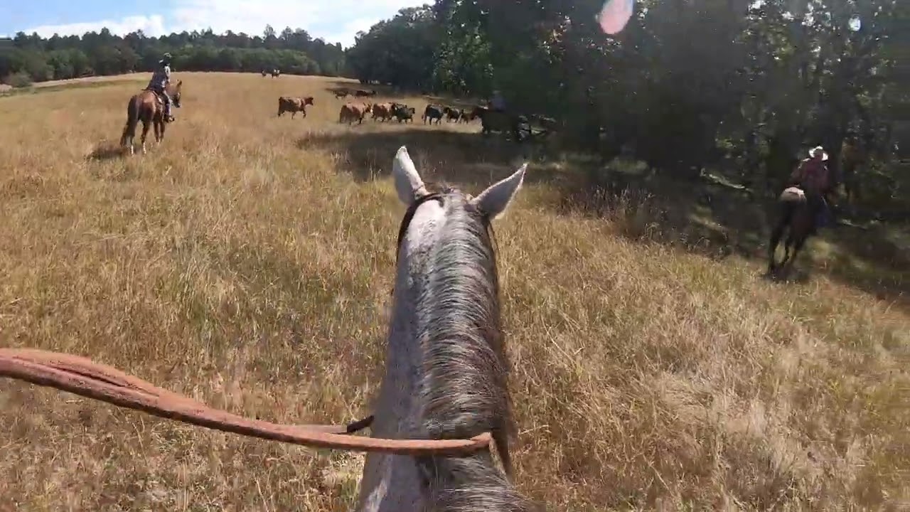 Part III My Western Trip, Kara Creek Ranch