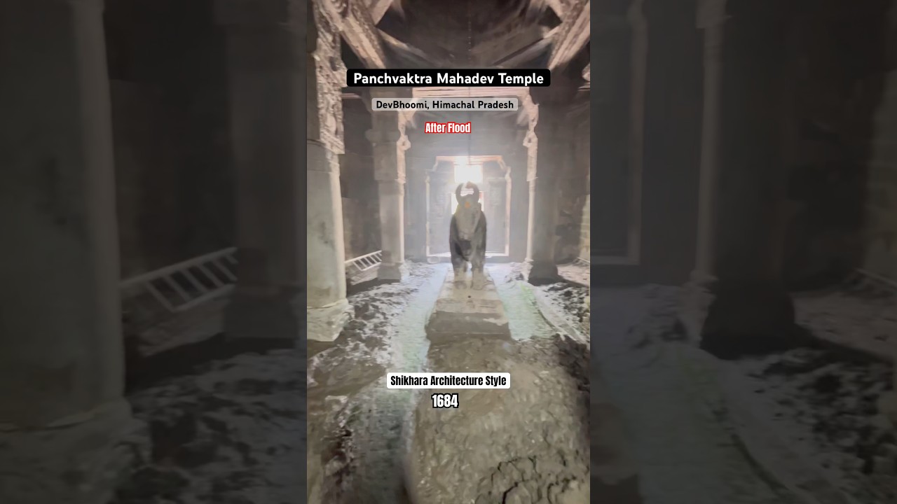 Panchvaktra Temple, Mandi 🕉️🙏🏻Himachal Pradesh #viral #shorts #flood #2023