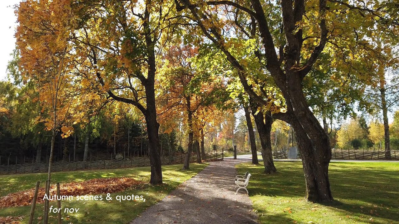 Autumn Walk🕯️Welcome November 🌟 shopping 🍁