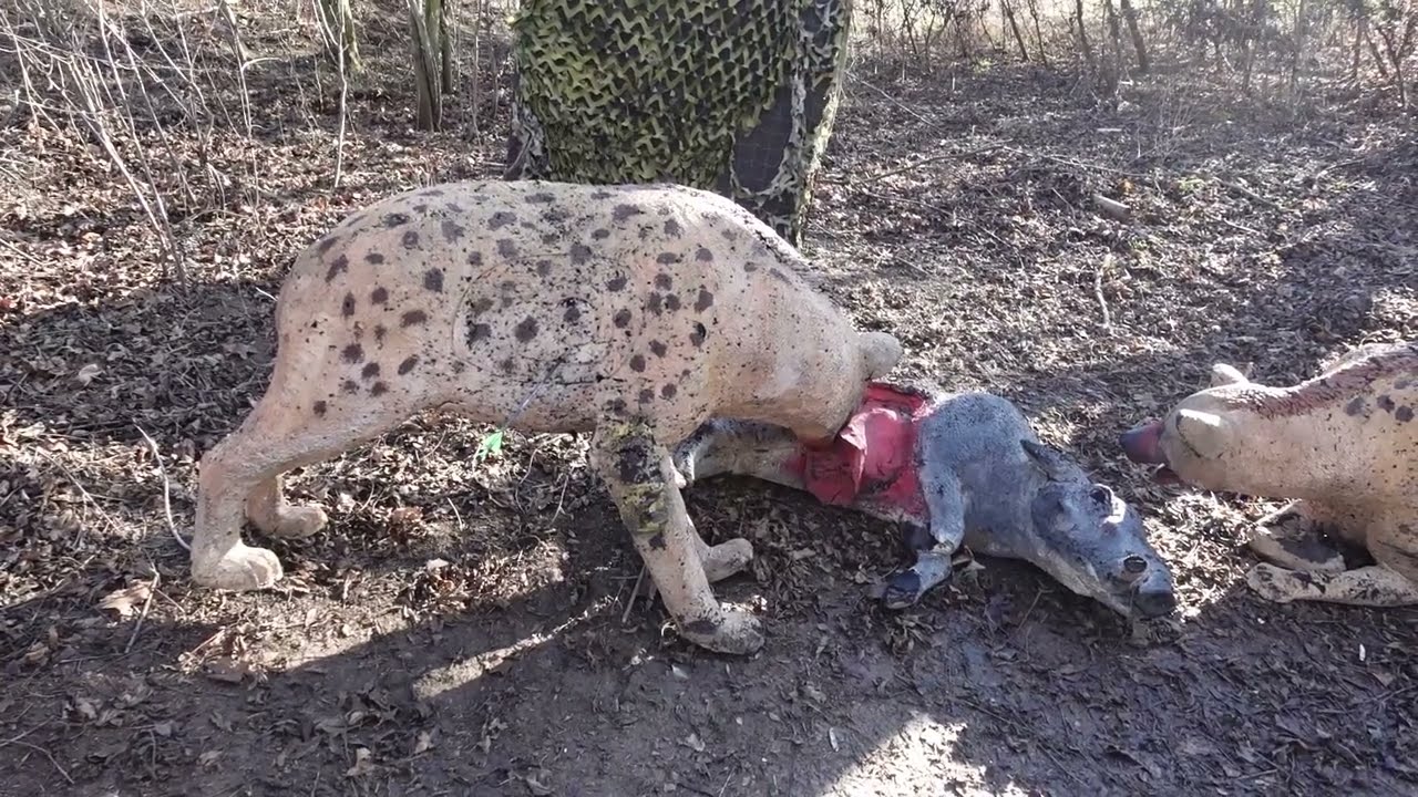 Einfl&uuml;sse auf die Entfernungswahrnehmung beim Bogenschie&szlig;en - mit praktischen Beispielaufnahmen