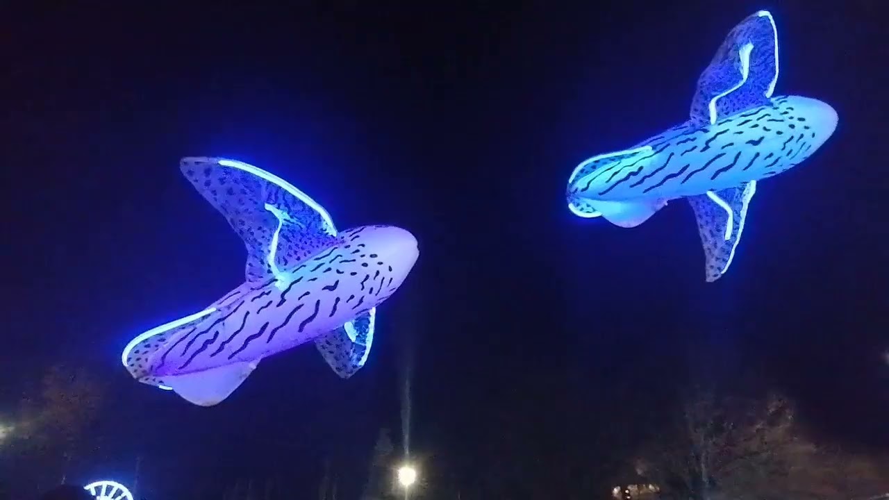 Fête de Noël a la Rochelle , et direction l Espagne ✌️