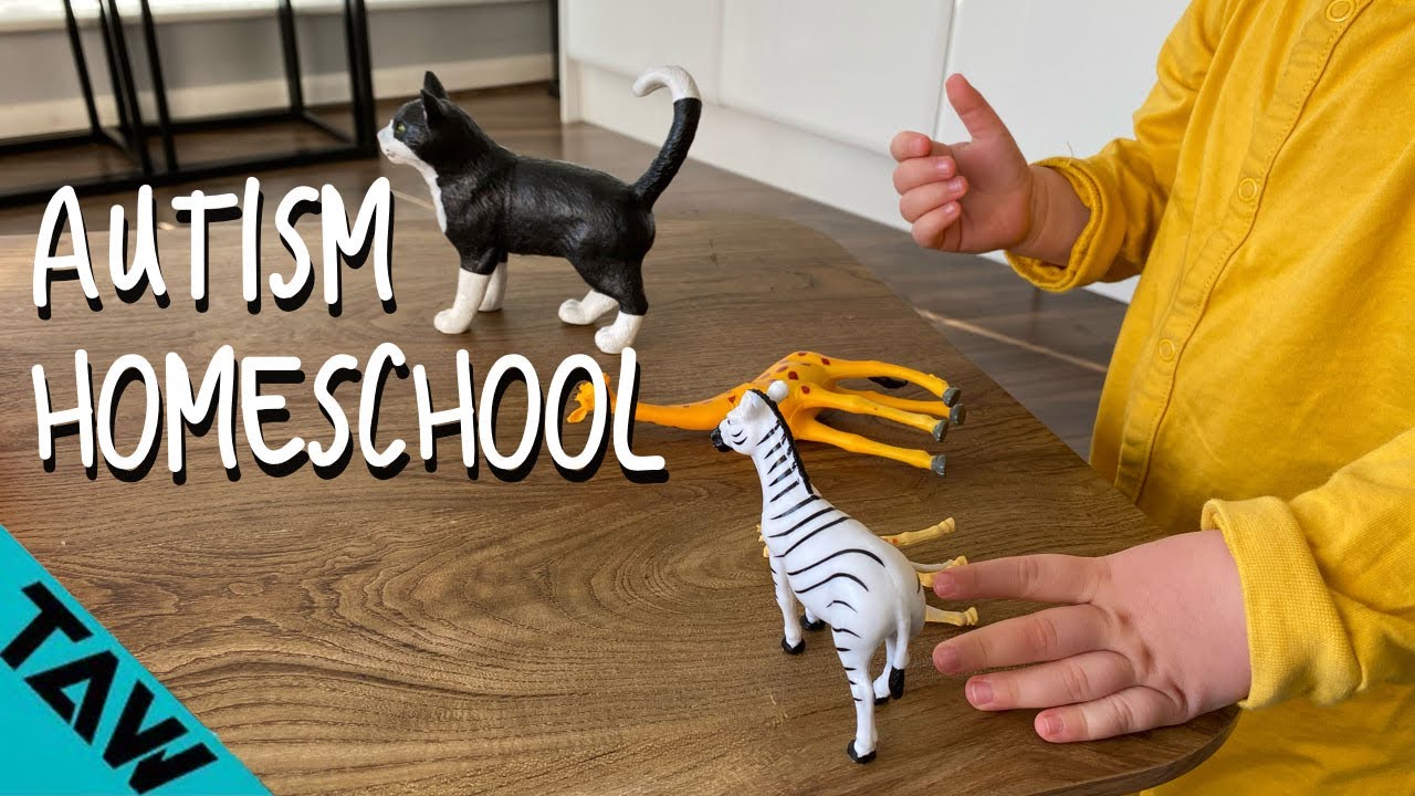 Homeschool Autism | 10 ESSENTIAL Learning Ideas (YOU NEED!)