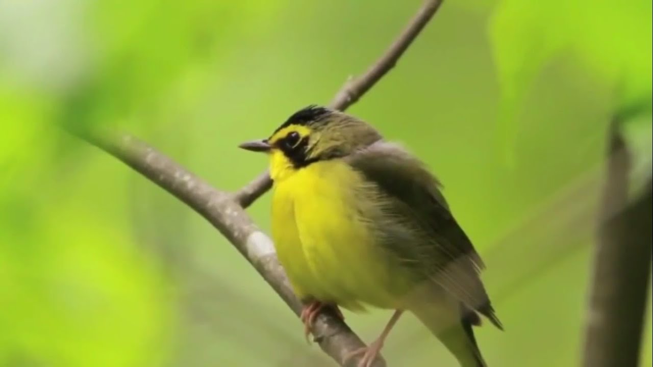 3 Minutes That Will Change Your Life, Beautiful Nature, Relaxing, Inspiring Video
