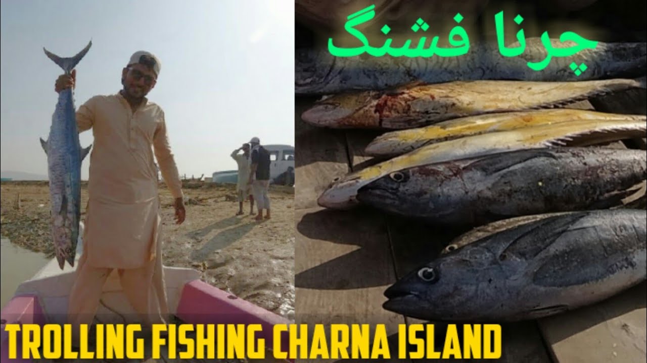 Trolling Fishing | Tolling Charna Island | Caught King Mackerel Queen Fish Tuna | Karachi Fishing