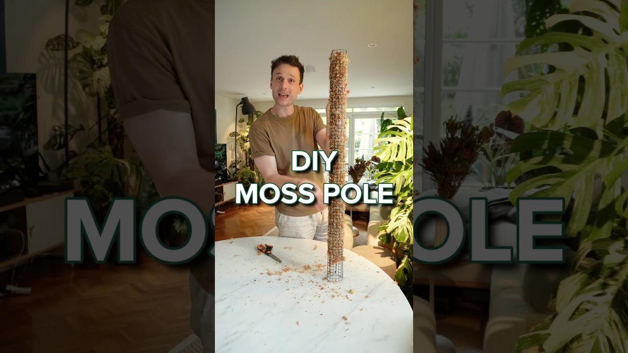 Super easy way of making your own Moss Poles. Check out my channel for more tutorials :) #mosspole
