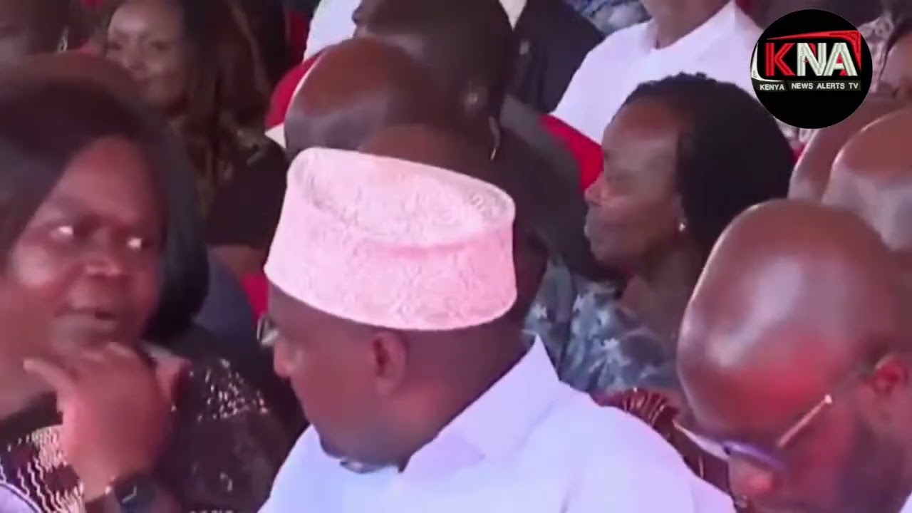 ADEN DUALE: 