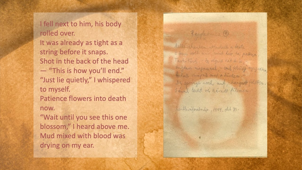 Miklos Radnoti: Postcard 4