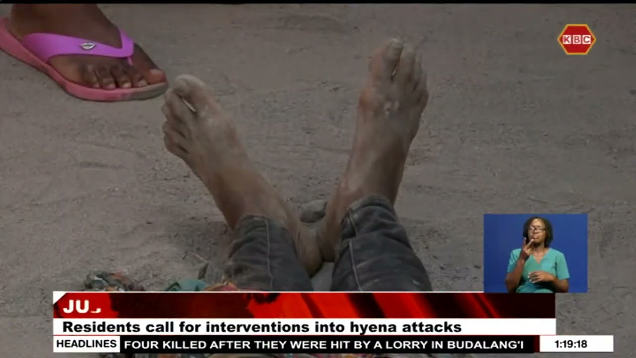 Juja residents call for interventions into hyena attacks