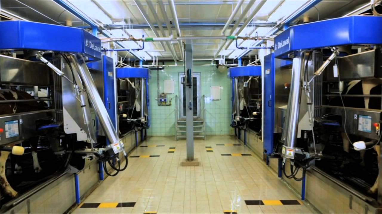 DeLaval VMS robot de traite - Présentation