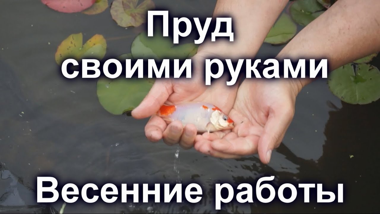 Весенние работы в пруду. Пруд своими руками. Садовый пруд.
