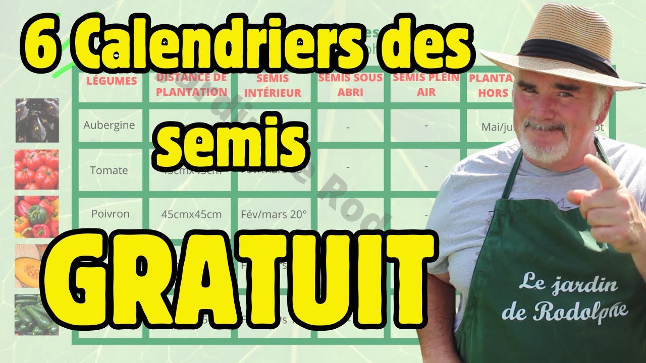 D&eacute;butants, planifiez vos semis facilement avec ces 6 calendriers !