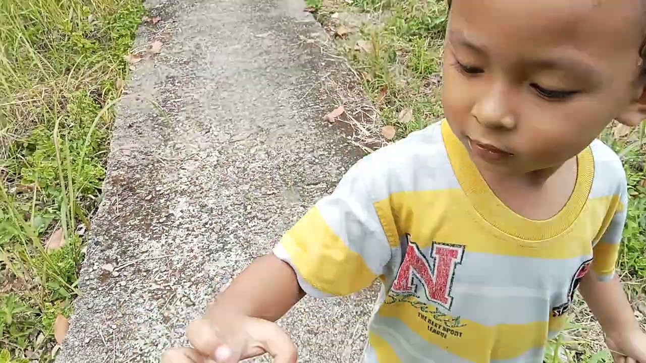 Ke ladang madang di hulu