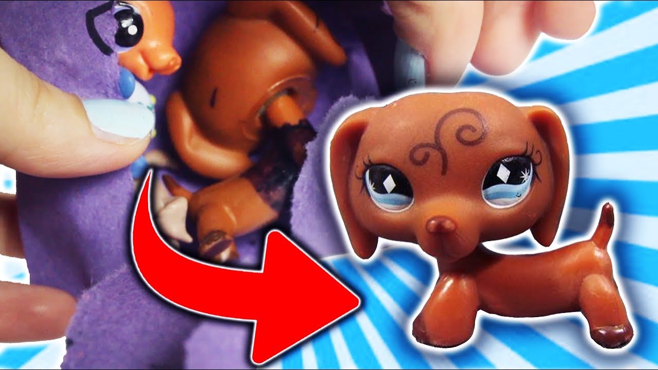FAN SENT A DACHSHUND LPS IN THE MAIL?!  | Alice LPS