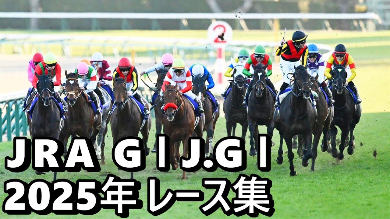 【データ付き】2025年 JRA G１ J.G１レース集