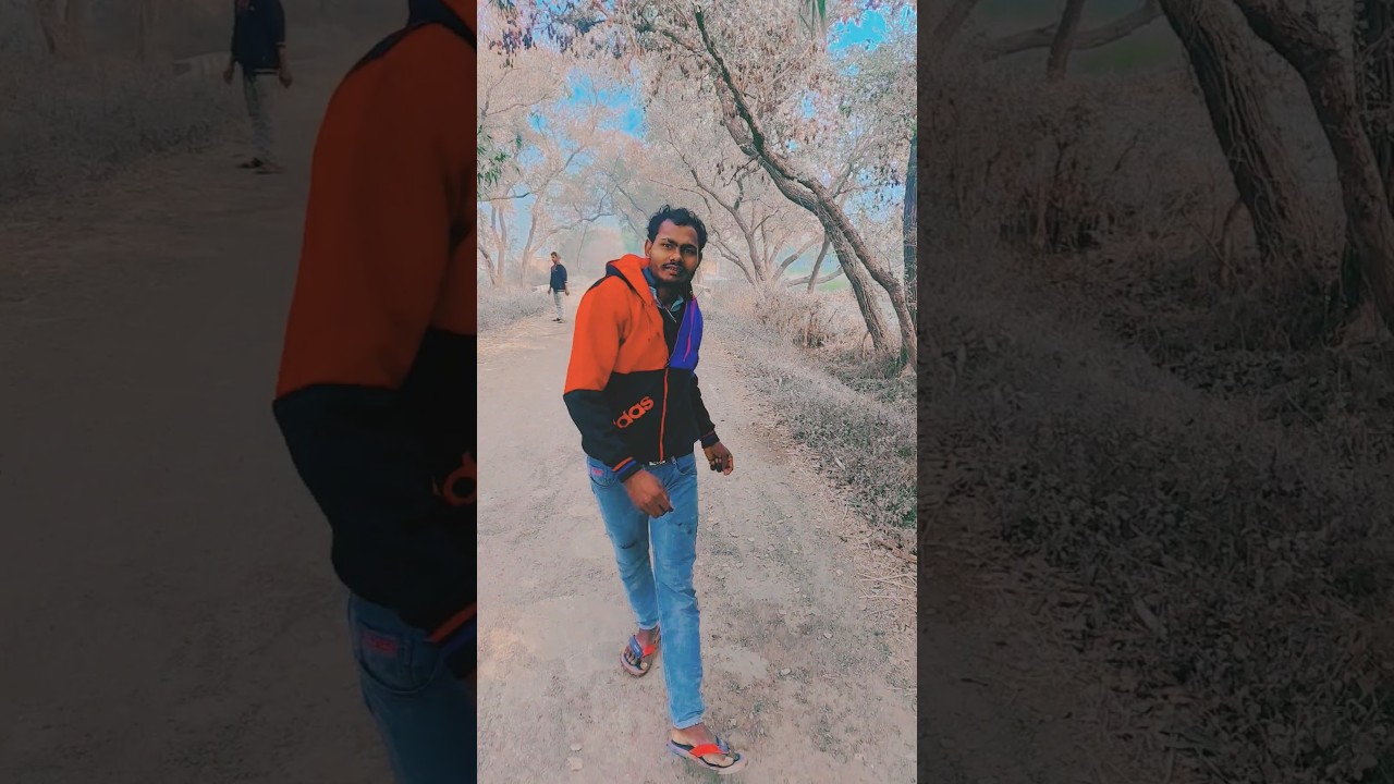 #highlights