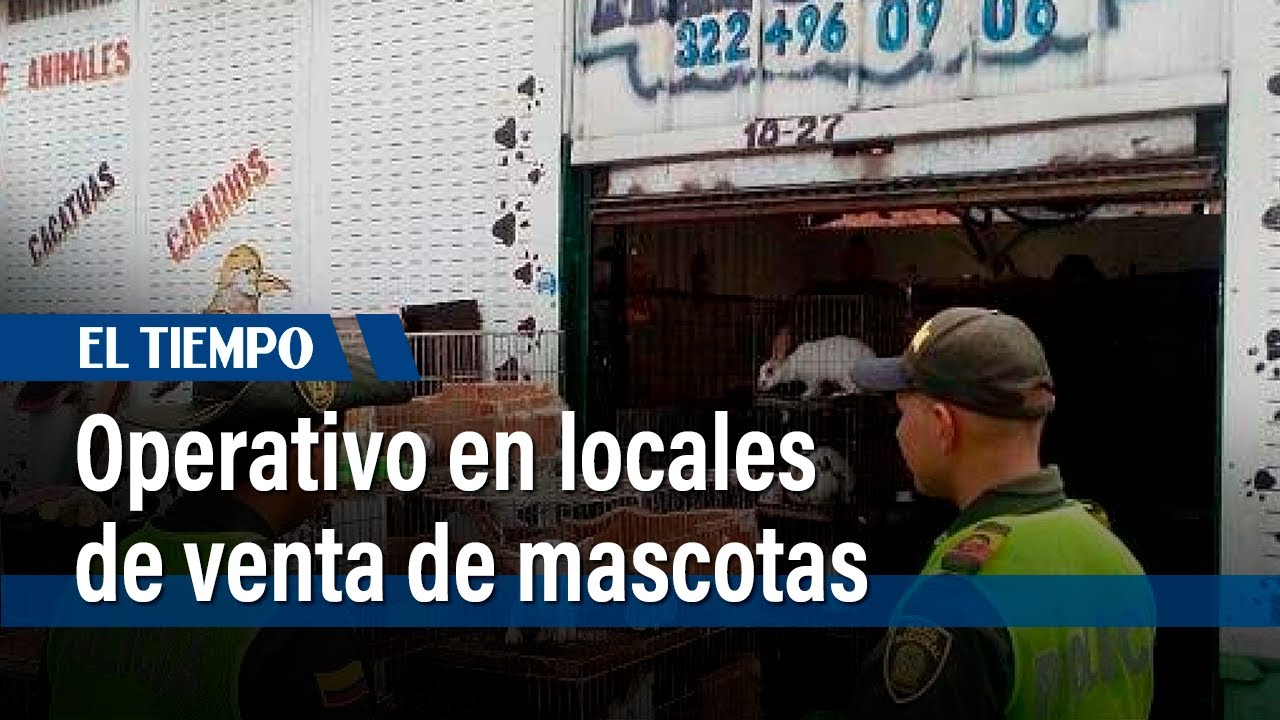 Cierre de local de mascotas en Avenida Caracas tras operativo del Instituto de Bienestar Animal