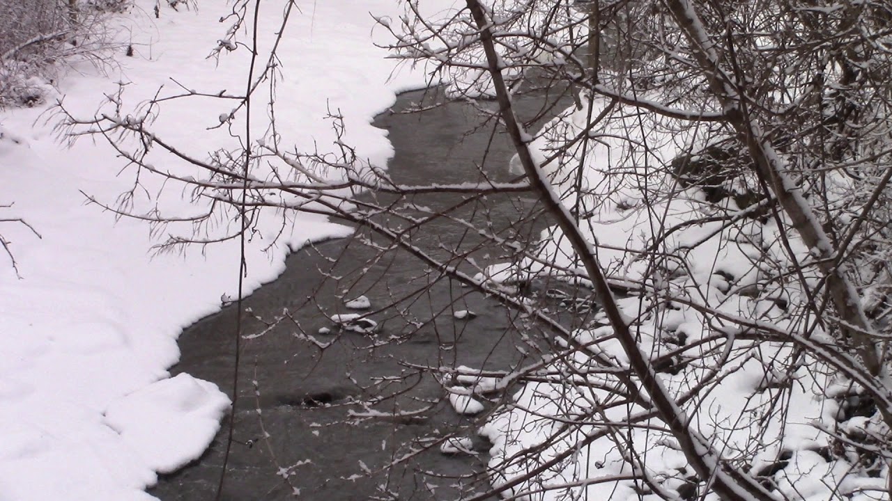 Beautiful Day Downtown Grimsby 40 Mile Creek
