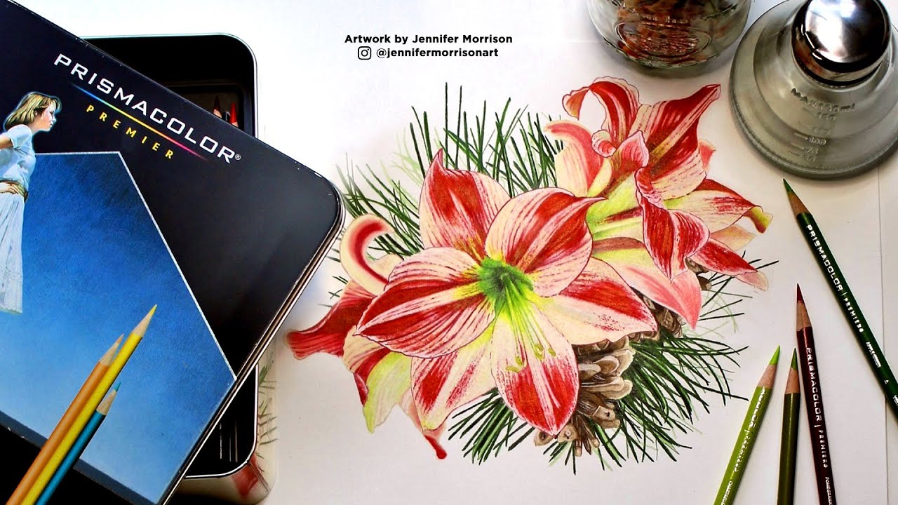 Holiday Amaryllis and Pine Illustration with Jennifer Morrison | Blick Art Materials