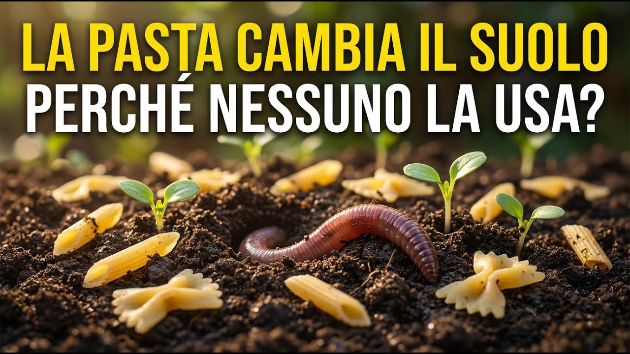 Butta Questo Nell'Orto e Guarda Cosa Succede al Terreno — Perché Nessuno Te Lo Dice