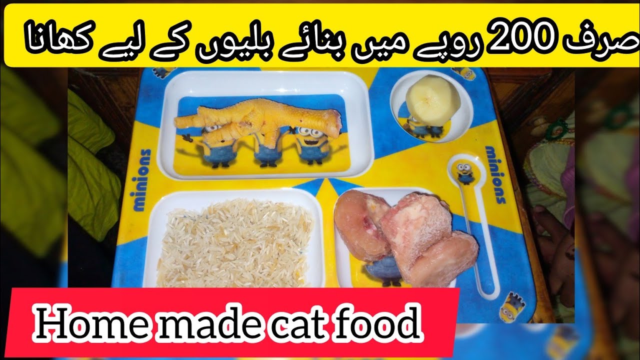 Home Made Cat Food 😻|| Very Easy Recipe||