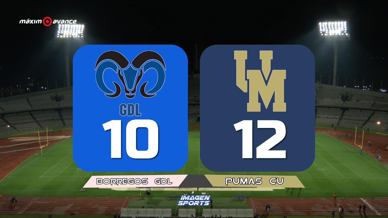 M&Aacute;XIMO AVANCE EN VIVO: BORREGOS GDL vs PUMAS CU | LIGA MAYOR | ONEFA | TEMPORADA 2025