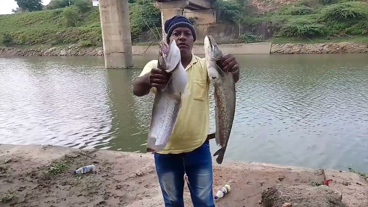 Amaging Big Pathan Fish Catching fisherman || Speed fishing