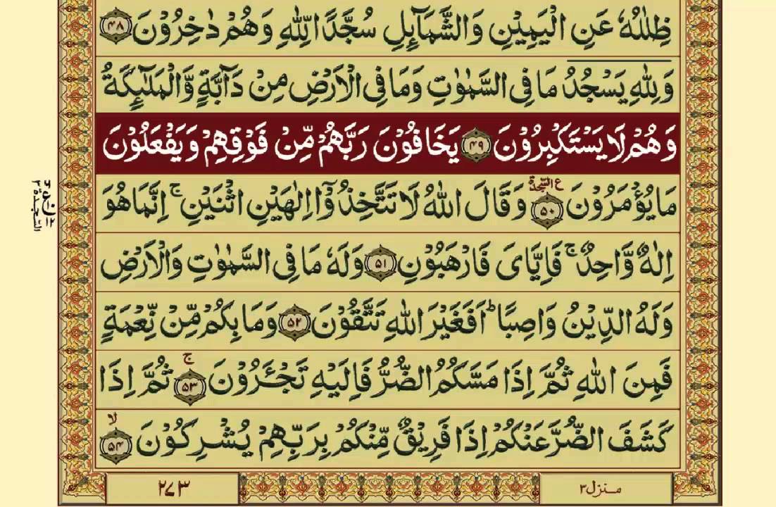 Quran-Para14/30-Urdu Translation