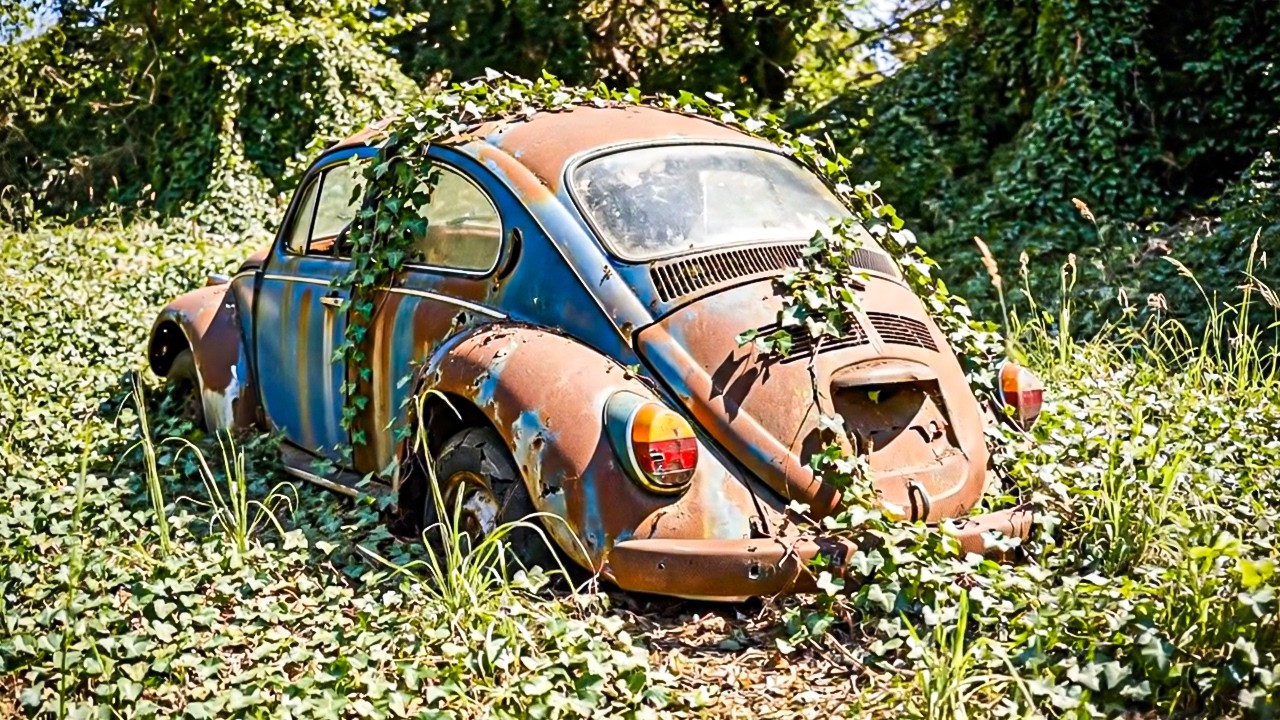 1967 Volkswagen Beetle Abandoned for Decades | Restoring a Forest-Rotted VW Beetle.