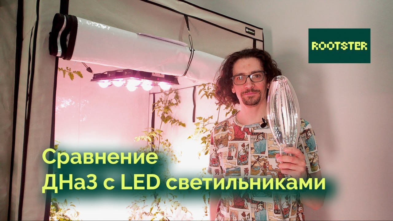 Сравнениваем ДНаЗ с LED светильниками