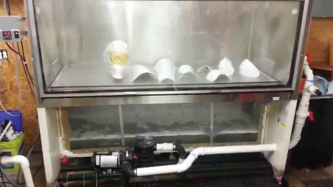 Hydrographic rinse tank build complete