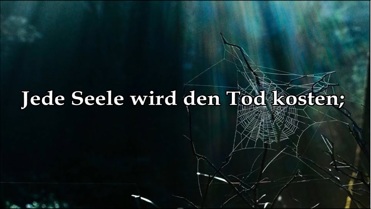 Koran auf deutsch Sura 29 