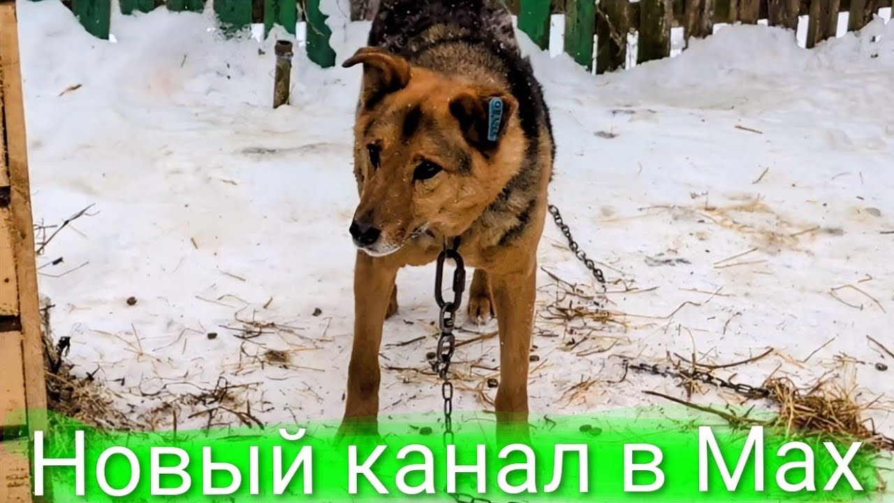 Новый канал в Мах 