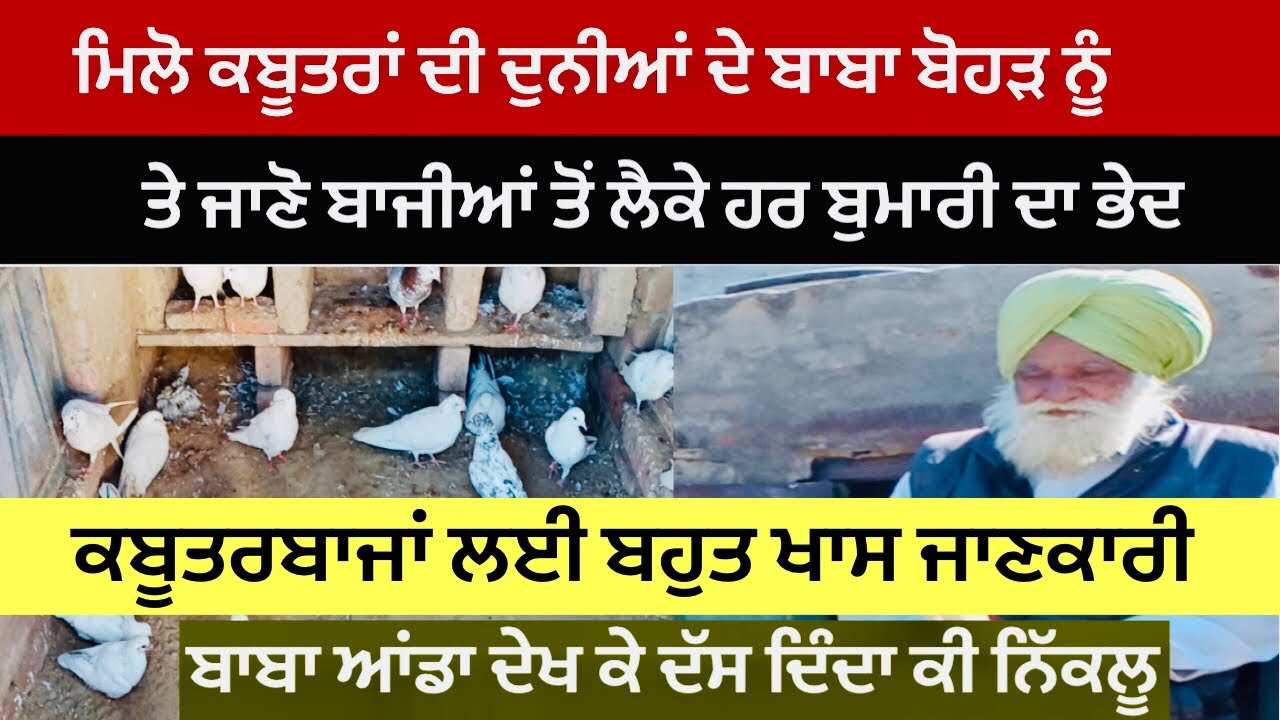 ਮਿਲੋ ਕਬੂਤਰਾਂ ਦੀ ਦੁਨੀਆਂ ਦੇ ਬਾਬਾ ਬੋਹੜ ਨੂੰ,ਤੇ ਜਾਣੋ ਬਾਜੀਆਂ ਤੋਂ ਲੈਕੇ ਹਰ ਬੁਮਾਰੀ ਦਾ ਭੇਦ |Dr Pal | #kabooter