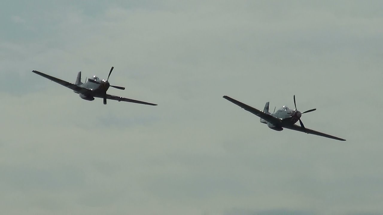 P-51D Mustangs 
