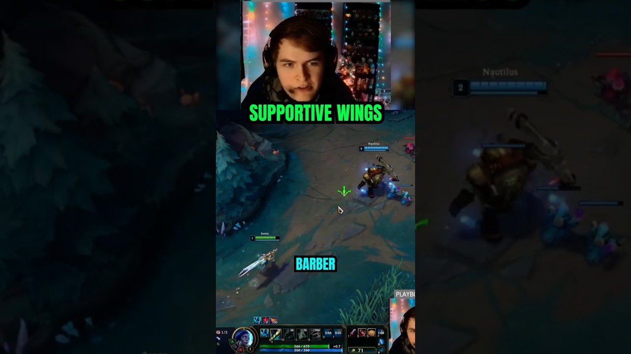 The Supportive Wings