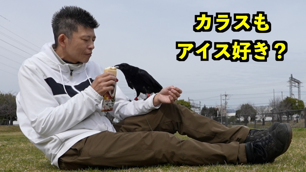 [初めての公園が気に入りすぎたカラス…]全然帰ってくれませんでした
