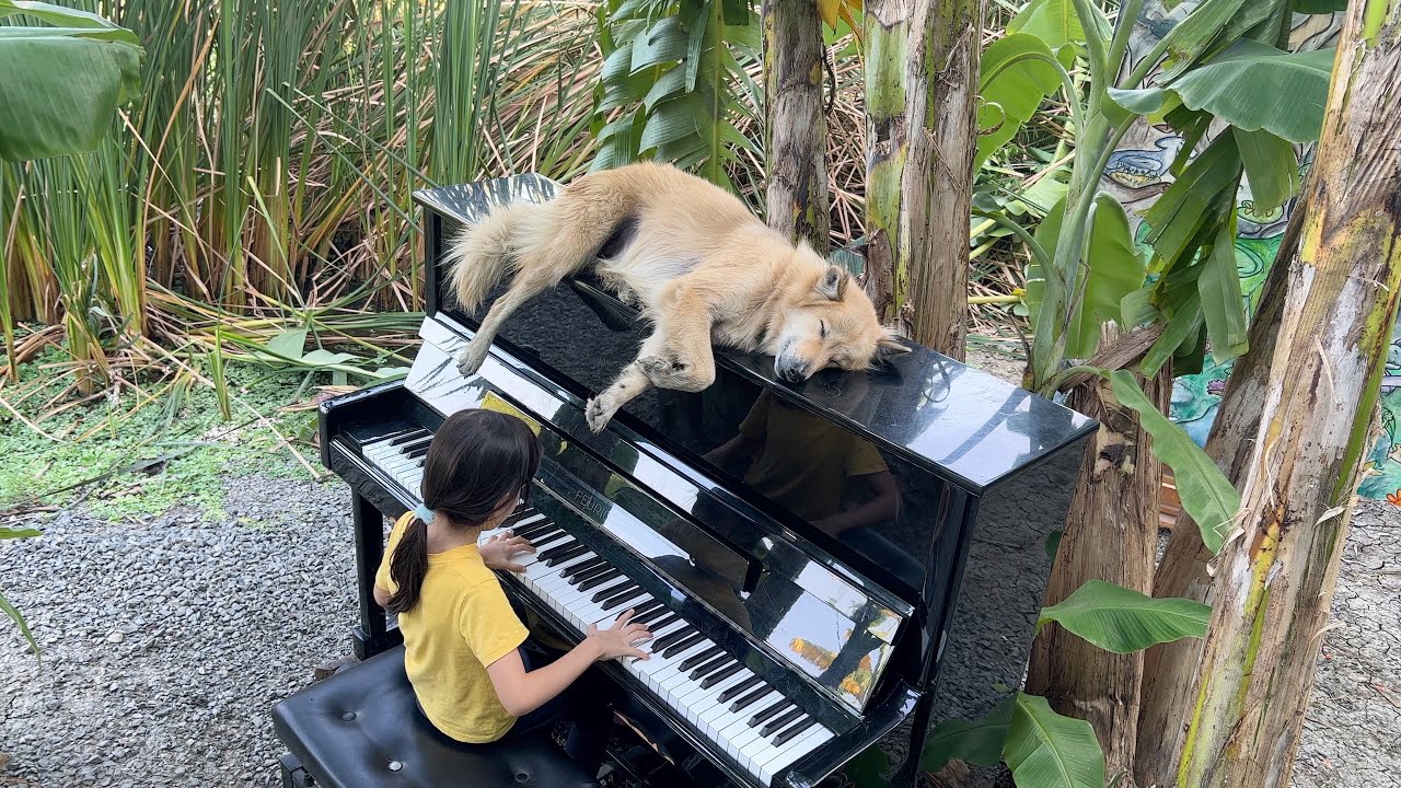 Emilie Plays 