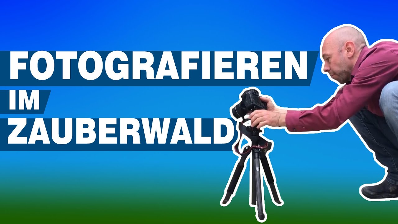 Fotografieren im Zauberwald [einst Katastrophengebiet, heute Ausflugsziel]