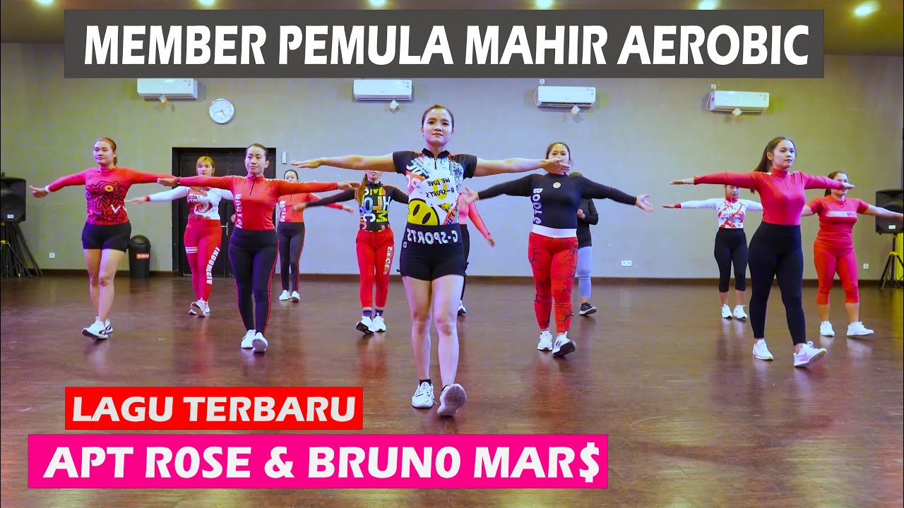 SENAM AEROBIK MUSIK TERBARU FESYA SAHARA 2024