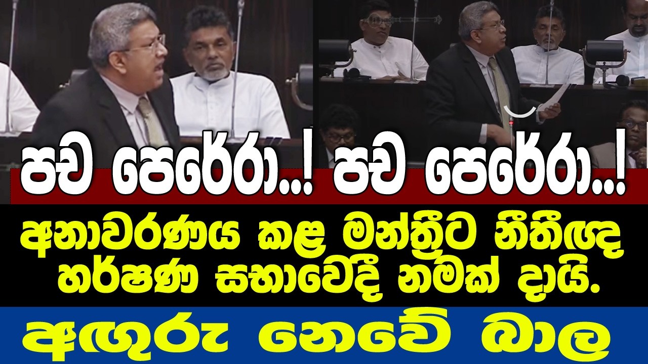 පච පෙරේරා..! -අනාවරණය කළ මන්ත්‍රීට නීතීඥ හර්ෂණ නමක් දායි.අඟුරු නෙවේ බාල විපක්ෂේ දේශපාලනේ.