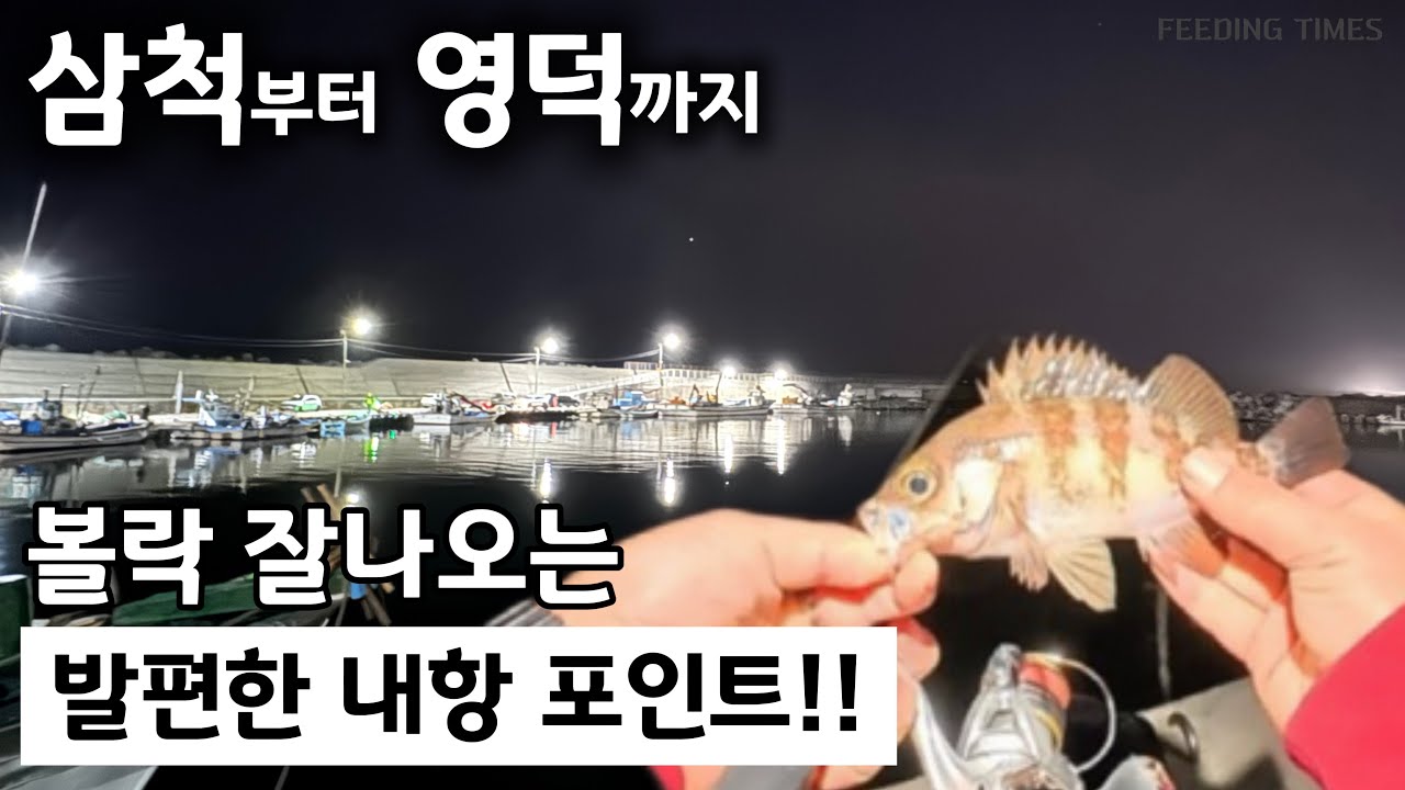 삼척부터 영덕까지 볼락 잘나오는 발편한 방파제를 찾아서!!