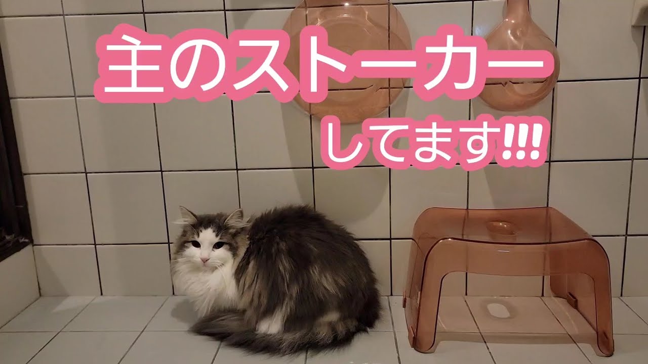 主の姿が見える所にいつもいたい♪