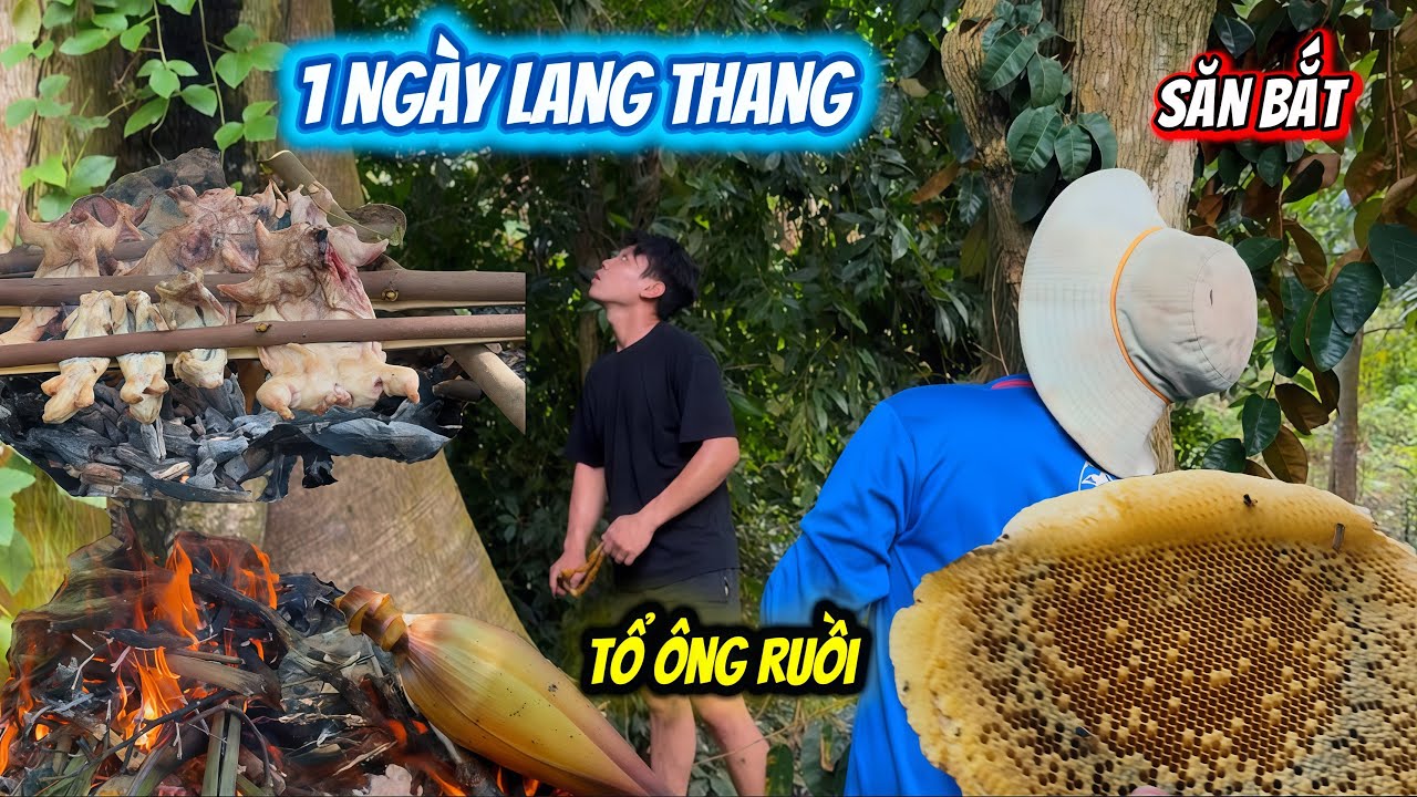 Một ngày lang thang săn bắt ngày mưa bão cùng team trúng ngay tổ ông rừng | HoàiPhong TV
