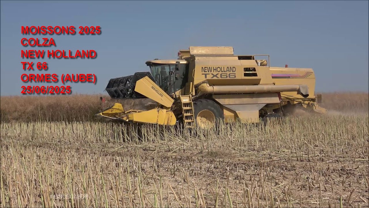 MOISSONS 2025 / NEW HOLLAND TX 66 / COLZA / ORMES / AUBE / FRANCE /