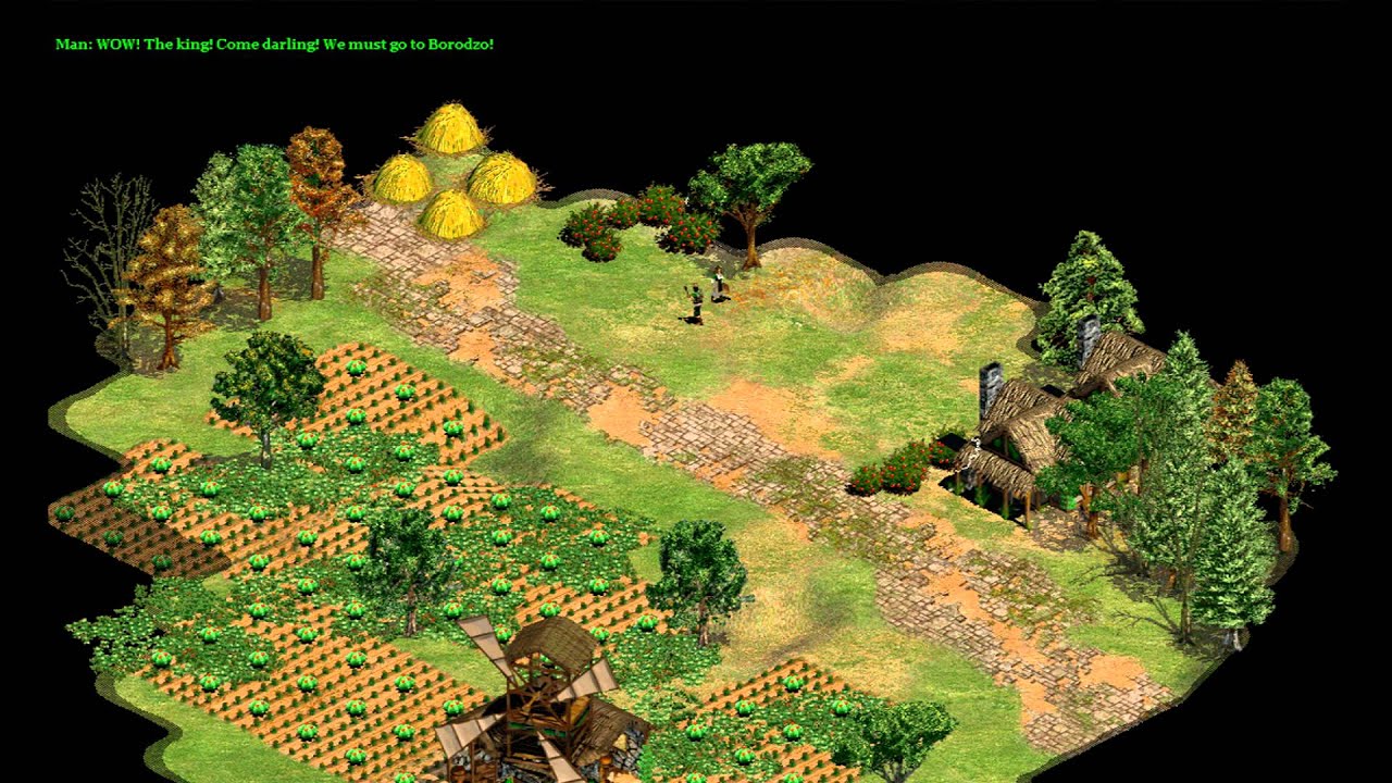 Age of Empires 2 Custom Scenario: The Big Knights