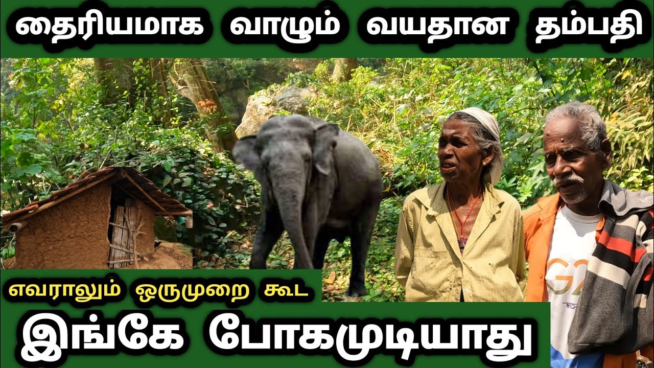 வாழ்க்கையில் ஒருமுறை கூட எவராலும் போகமுடியாத பகுதி, ஆபத்தான யானைக்காட்டில் வாழும் பழங்குடி மக்கள் 